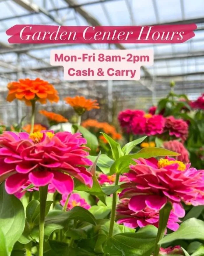 Local landscape design for year-round maintenance across Maple Grove, MN - Lynde Greenhouse & Nursery
