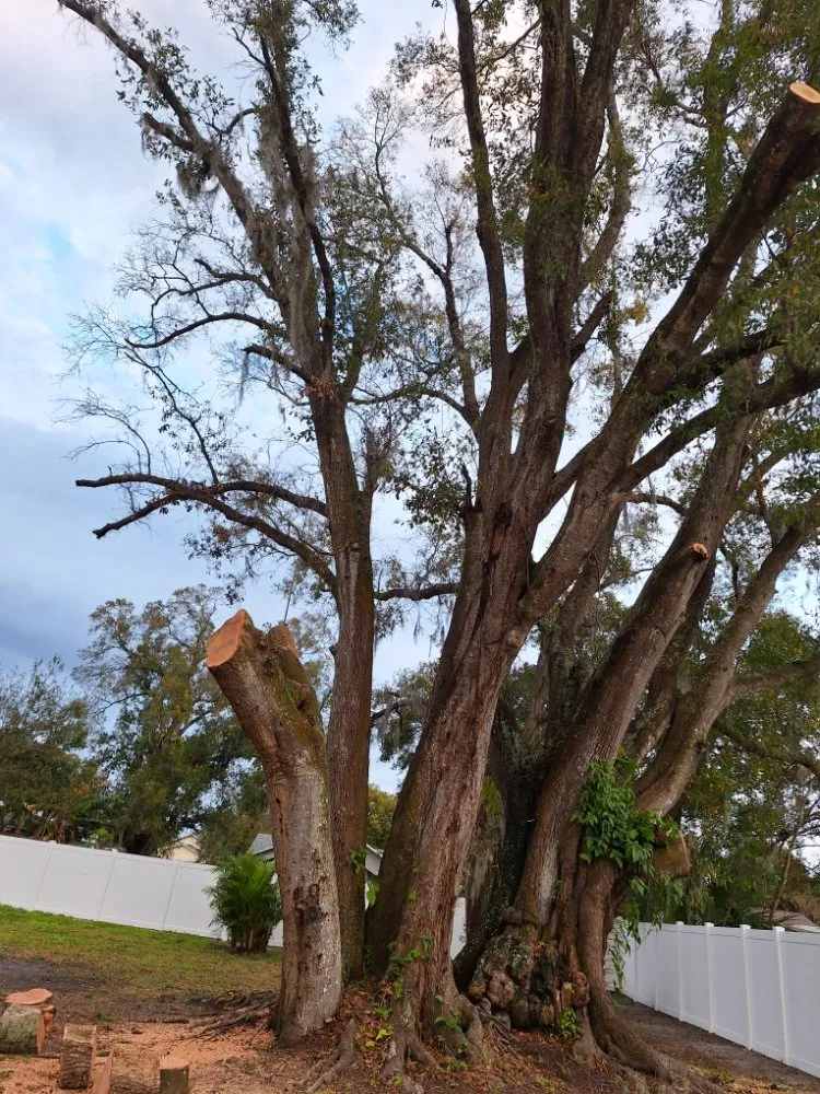 Expert garden landscaping in Lakeland, FL by Lynn's Landscaping