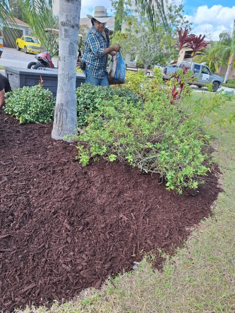 Expert landscaping services for beautiful yards in Lakeland, FL by Lynn's Landscaping