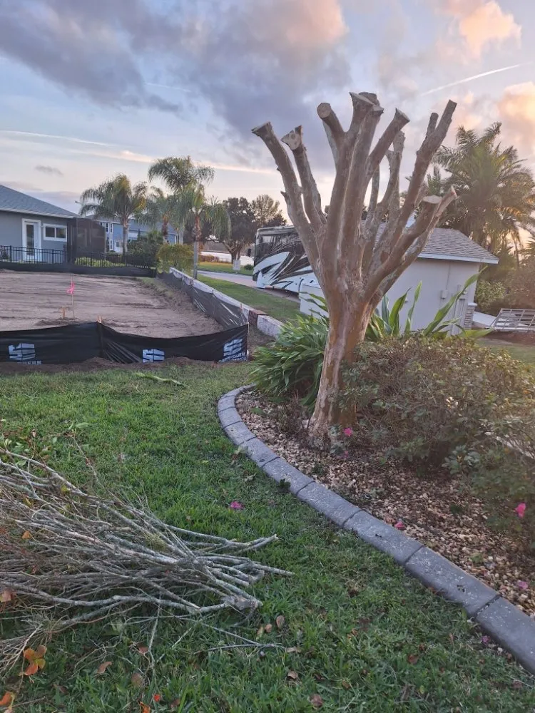 Custom lawn care service in Lakeland, FL - Lynn's Landscaping