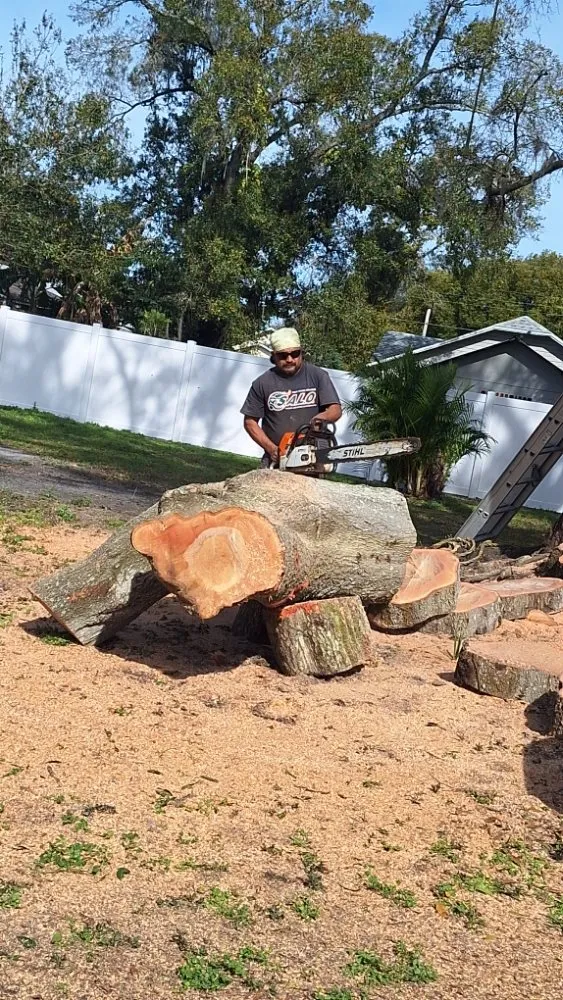Affordable yard cleanup service near you across Lakeland, FL - Lynn's Landscaping