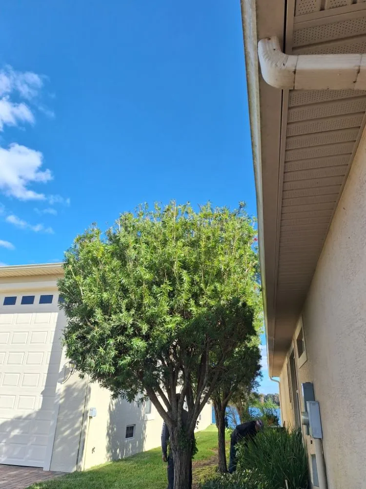 Expert outdoor landscaping experts serving Lakeland, FL - Lynn's Landscaping