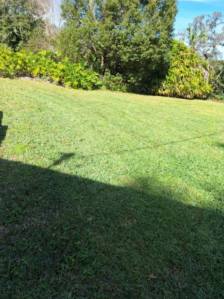 Trusted landscape design for year-round maintenance in Lakeland, FL by Lynn's Landscaping