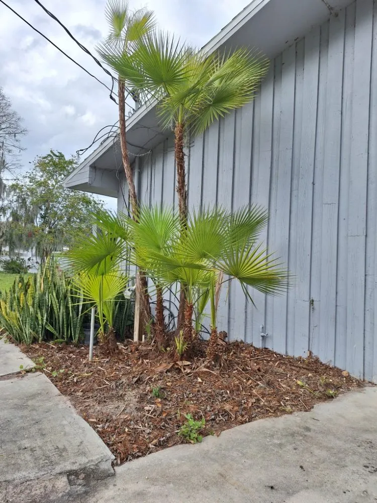 Top-rated lawn mowing service experts serving Lakeland, FL - Lynn's Landscaping