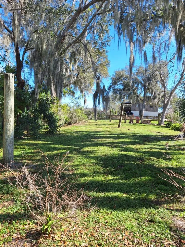 Trusted yard cleanup service in Lakeland, FL by Lynn's Landscaping