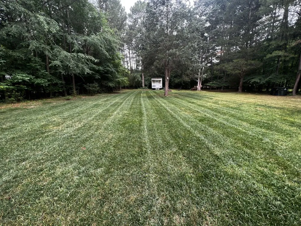Reliable residential landscaping experts serving Rock Hill, SC - Lynn’s Lawn Care Service