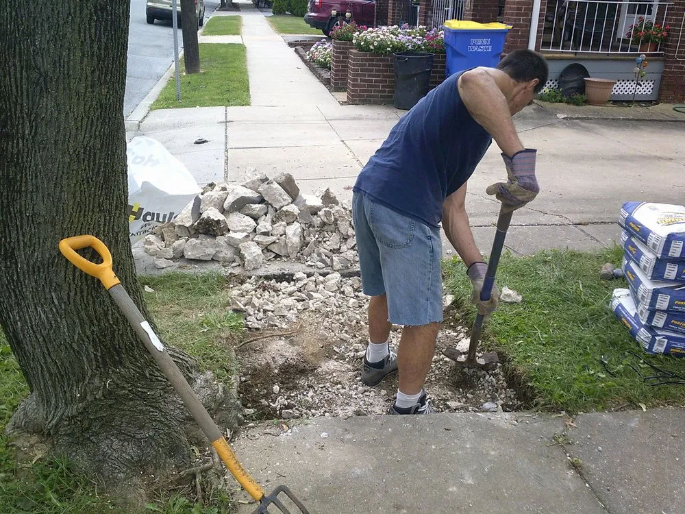 Top-rated landscaping services in Erie, PA - Lynx Mgmt