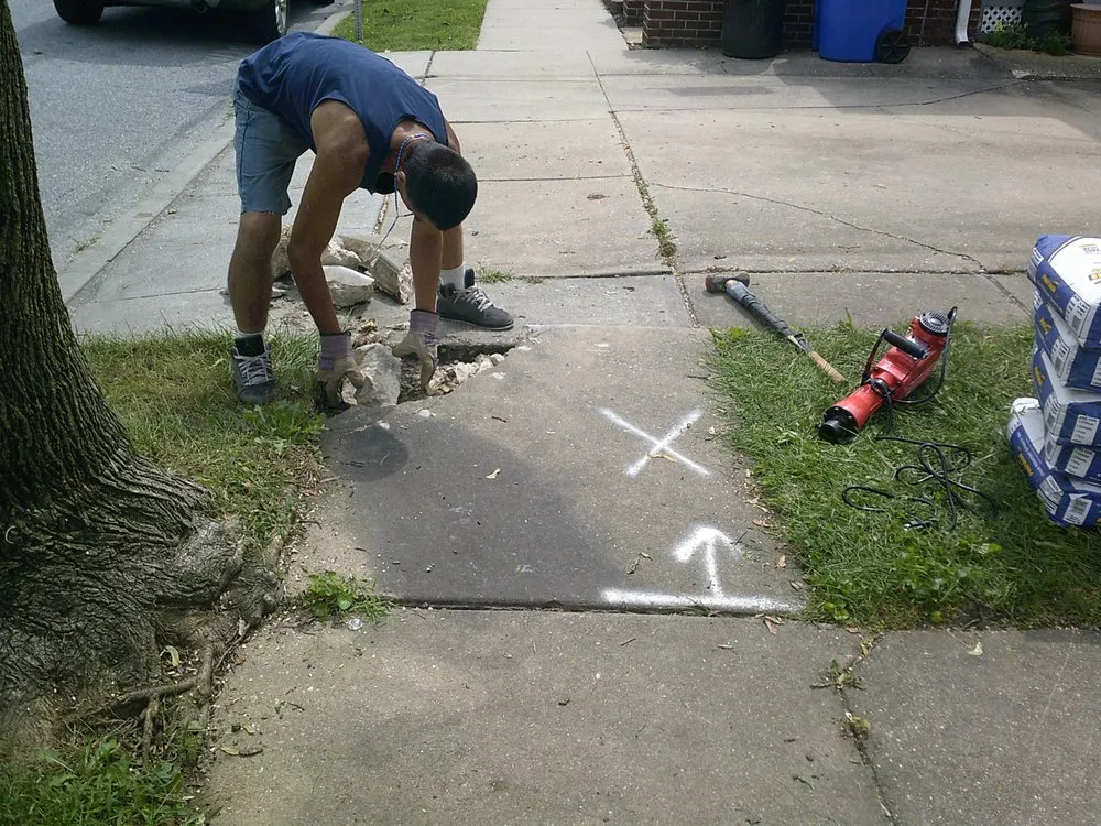 Affordable landscaping services for homes in Erie, PA by Lynx Mgmt
