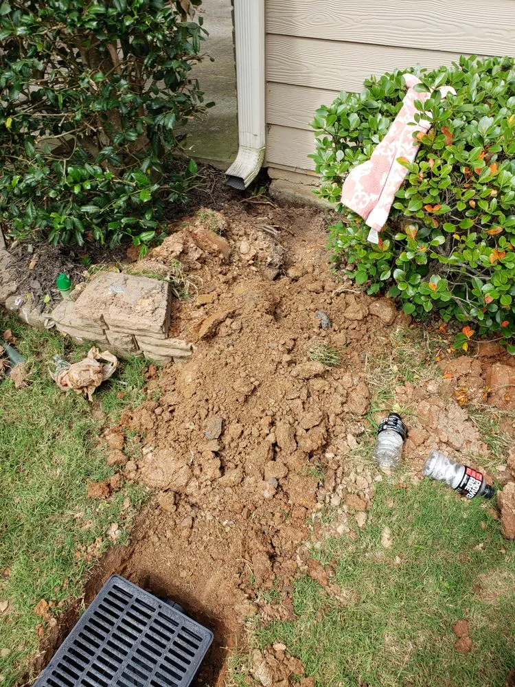 Top-rated yard maintenance experts serving Lindale, GA - Lynx Property Management