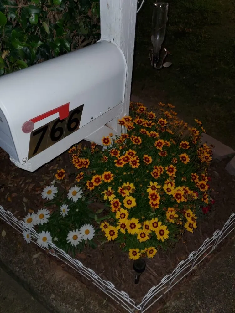 Trusted garden landscaping near you in Jonesboro, GA by Lynxlawnservice