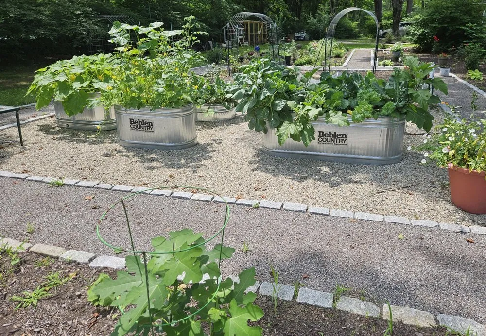 Reliable yard cleanup service for homes across Brooklyn, CT - Lyon & Company Landscaping