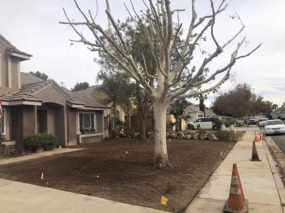 Professional landscaping services near you in Santa Clarita, CA by Lyon Landscaping