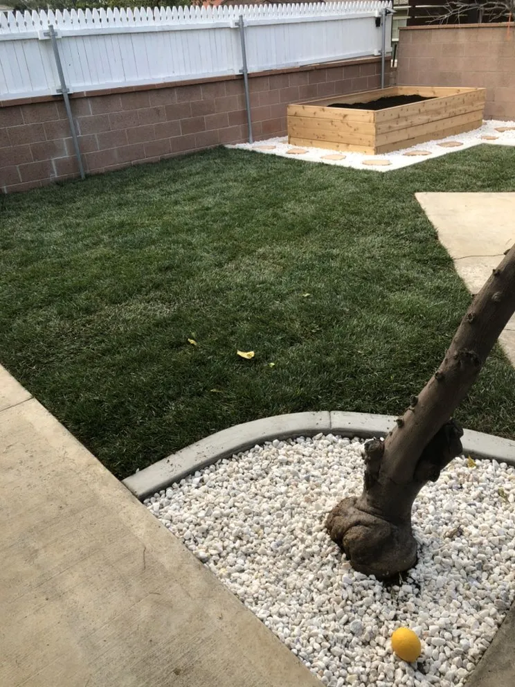 Professional yard maintenance in Santa Clarita, CA by Lyon Landscaping
