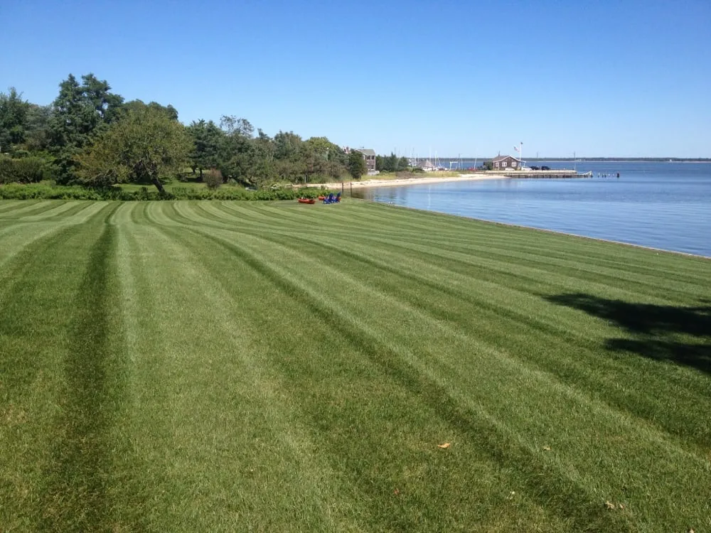 Custom lawn care service for beautiful yards in Tempe, AZ by Lyon Landscaping