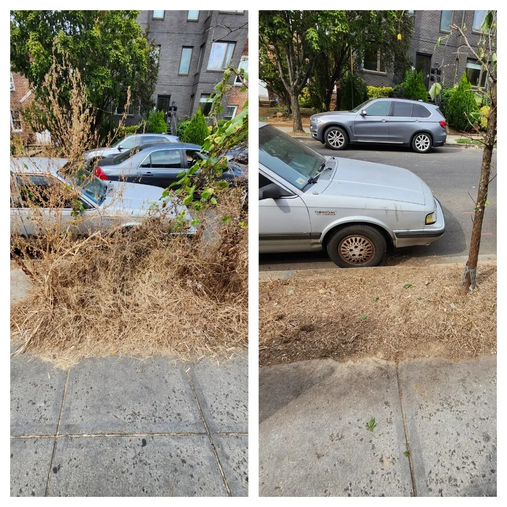 Custom yard maintenance in Falls Church, VA by Lyonhart Services