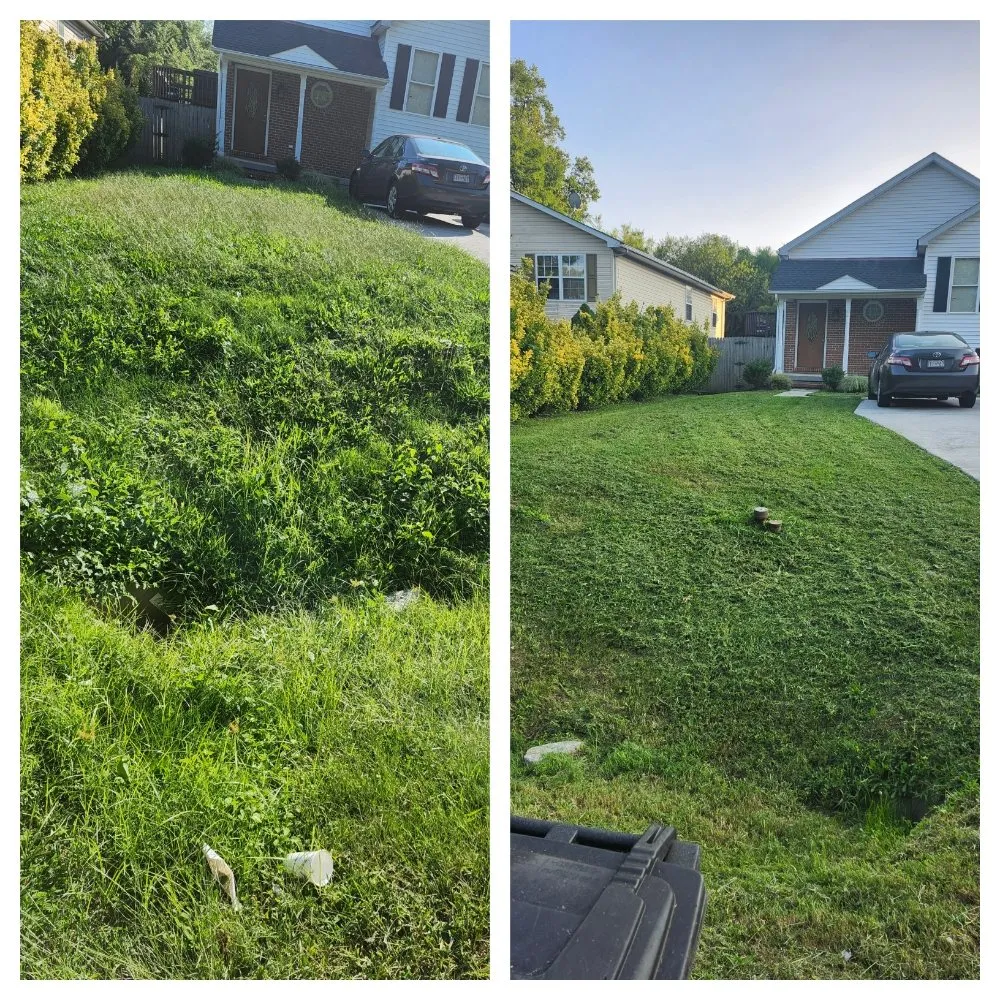 Professional landscape installation for homes across Falls Church, VA - Lyonhart Services