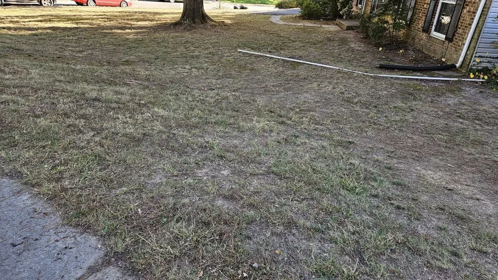 Top-rated yard maintenance for outdoor upgrades in Falls Church, VA by Lyonhart Services