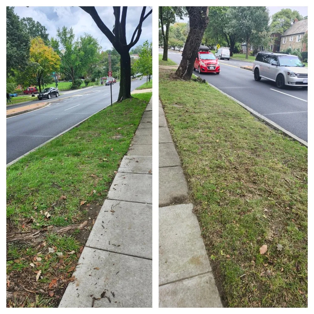 Reliable landscape installation with custom design across Falls Church, VA - Lyonhart Services