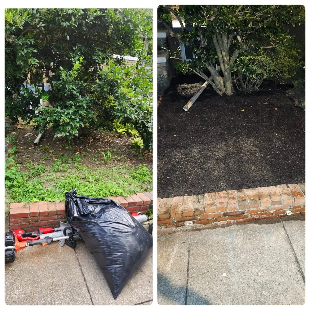 Reliable outdoor landscaping in Falls Church, VA - Lyonhart Services