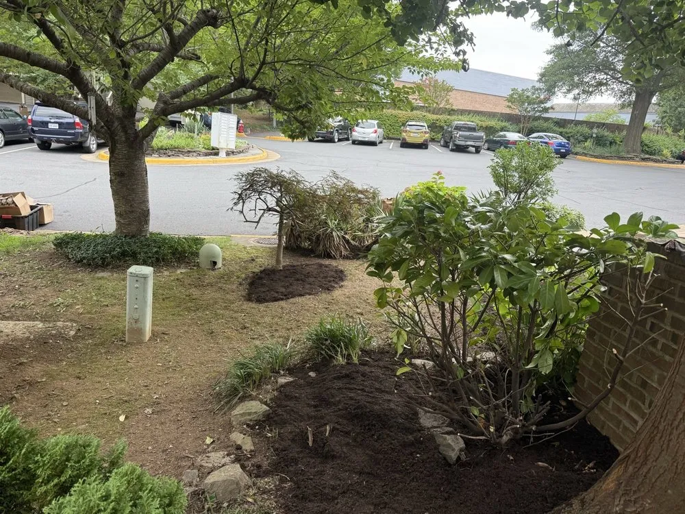 Professional landscape installation in Falls Church, VA - Lyonhart Services