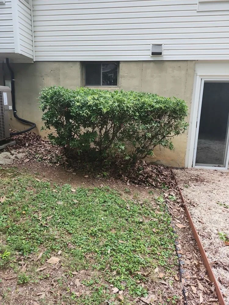 Expert lawn mowing service in Falls Church, VA by Lyonhart Services