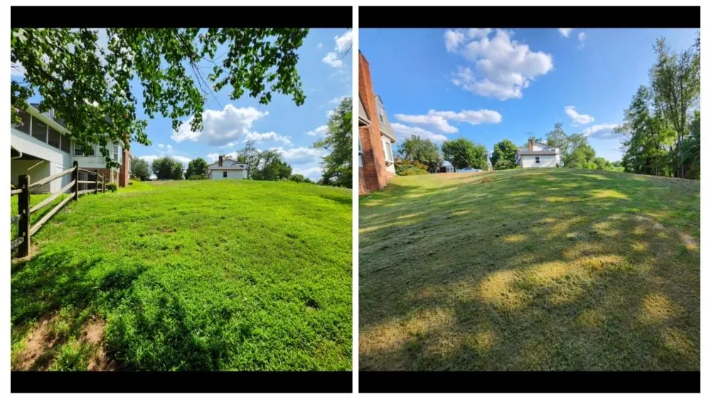 Expert landscape design for homes in Falls Church, VA by Lyonhart Services