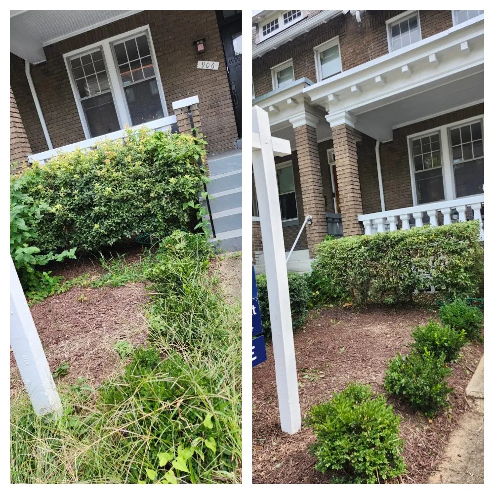 Local residential landscaping for residential properties in Falls Church, VA by Lyonhart Services