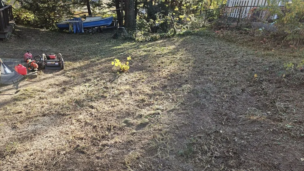 Top-rated lawn mowing service for year-round maintenance in Falls Church, VA by Lyonhart Services