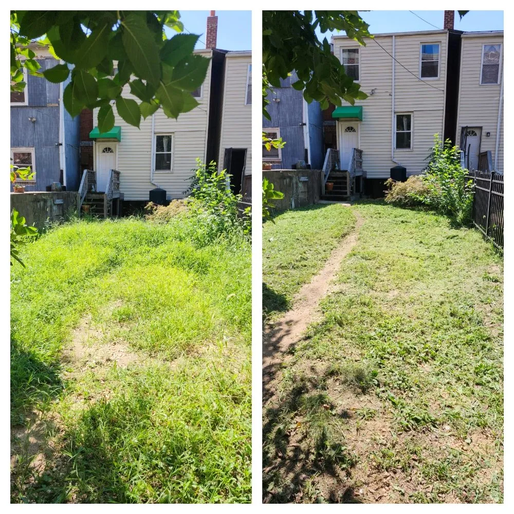 Reliable garden landscaping in Falls Church, VA by Lyonhart Services