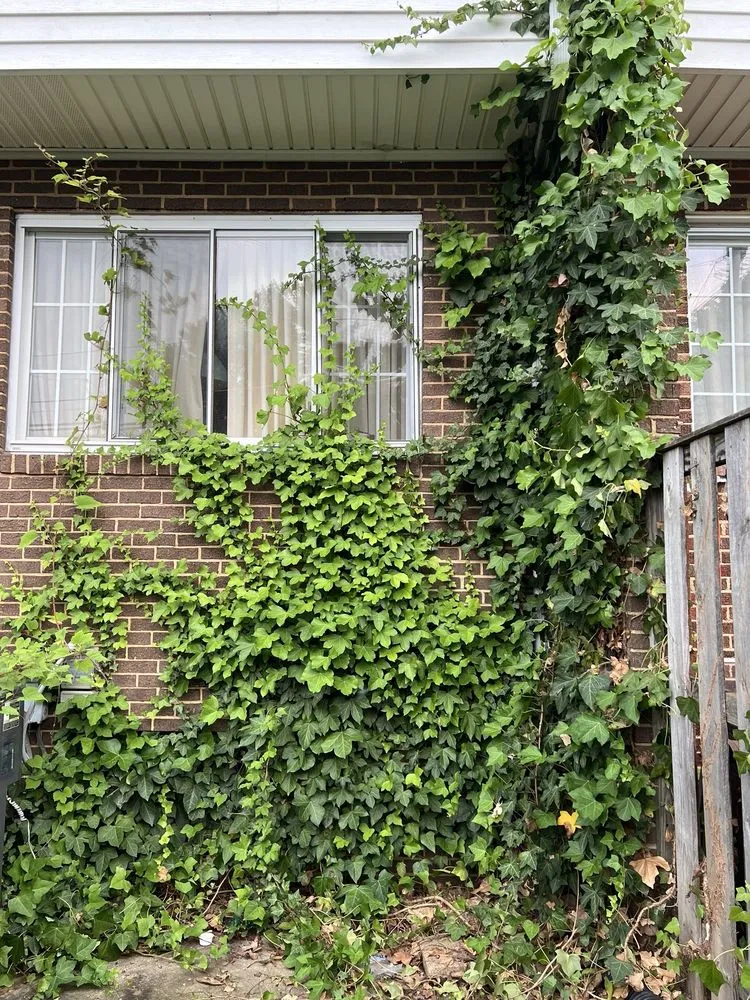 Affordable lawn care service near you across Falls Church, VA - Lyonhart Services