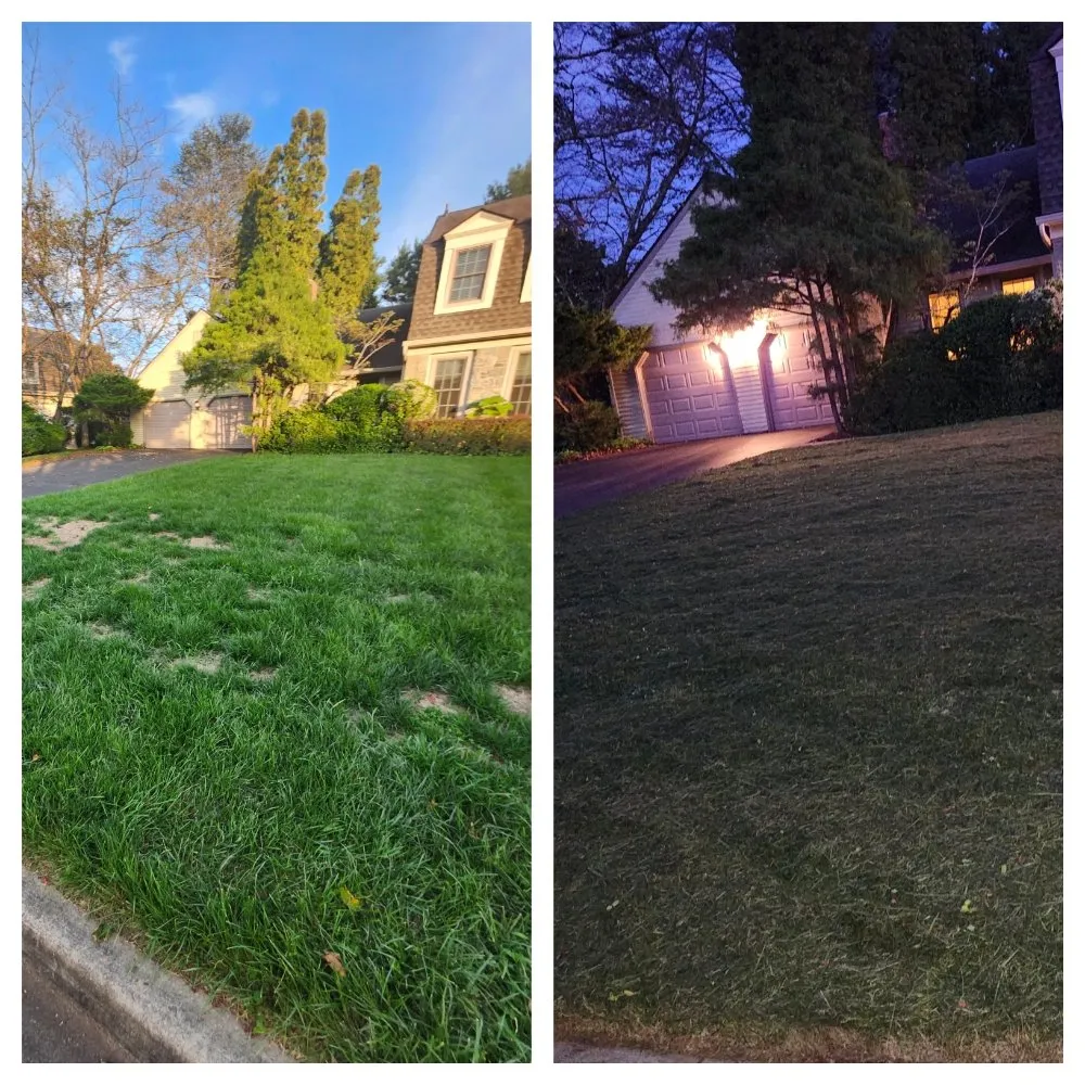 Professional lawn care service experts serving Falls Church, VA - Lyonhart Services