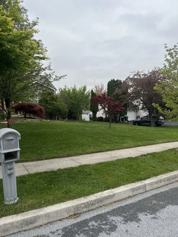 Custom yard maintenance for year-round maintenance in Lancaster, PA by Lyons & Martin Landscaping