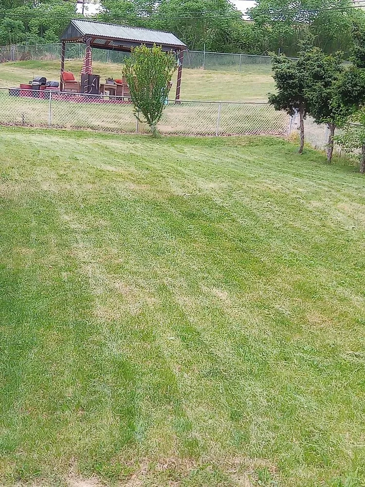 Affordable yard cleanup service in Lancaster, PA - Lyons & Martin Landscaping