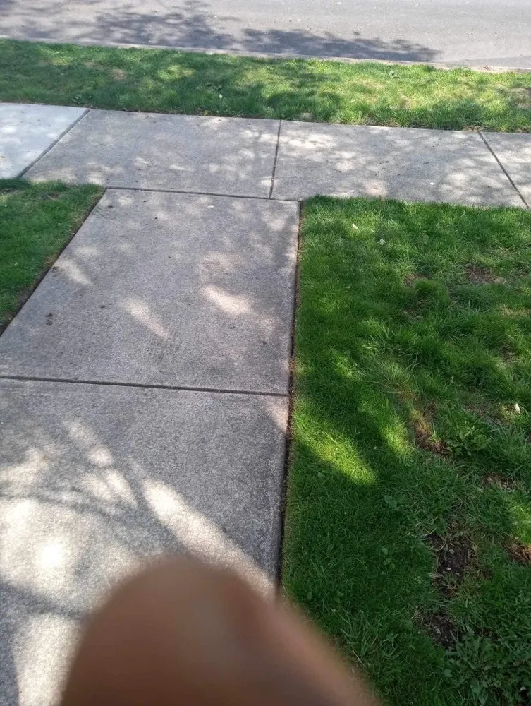 Local yard maintenance in Lancaster, PA - Lyons & Martin Landscaping