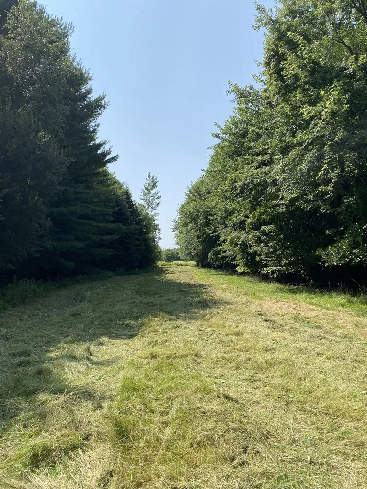 Professional landscaping services for residential properties in Wilson, NY by Lyons Earth Moving