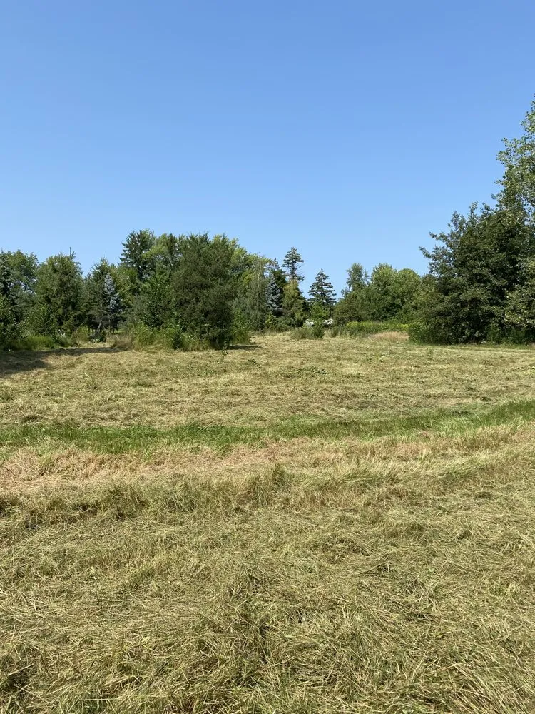 Professional yard maintenance in Wilson, NY - Lyons Earth Moving