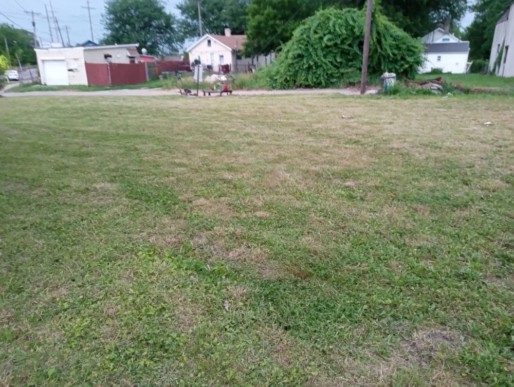 Expert yard cleanup service for year-round maintenance across Toledo, OH - Lyons Lawn Care N More