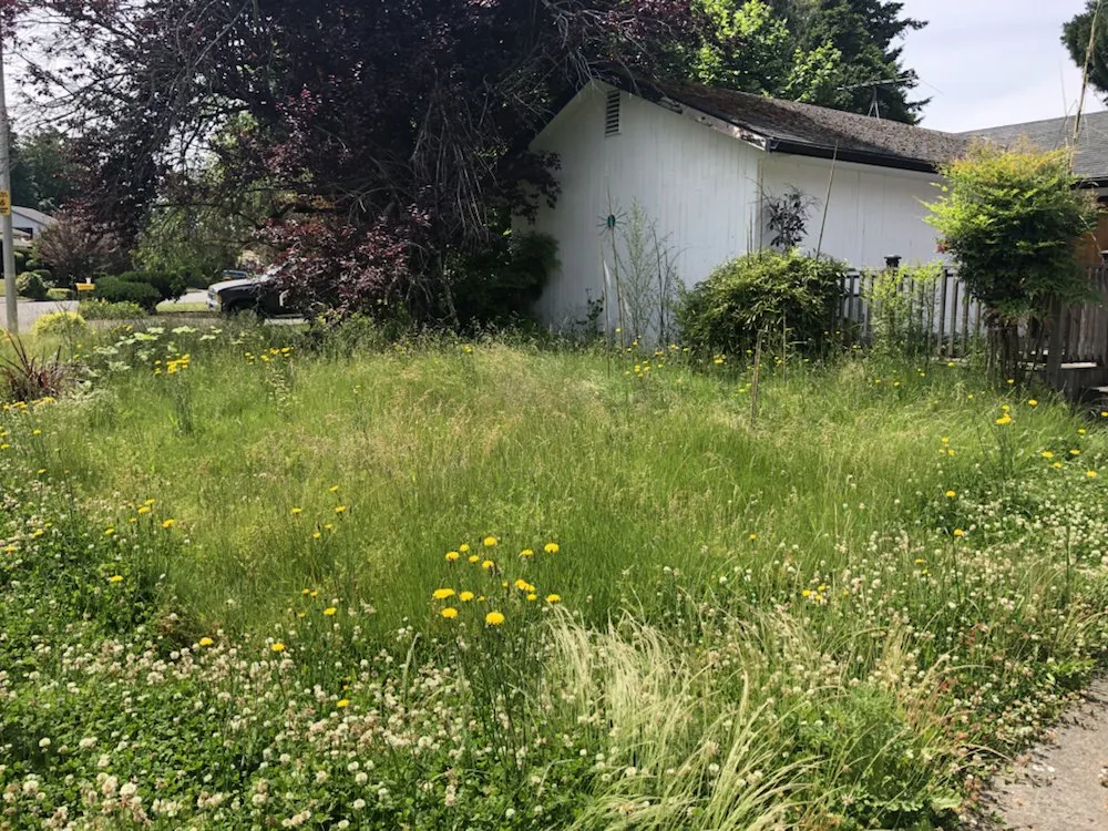 Reliable lawn mowing service in Stevenson, WA - Lyons Lawn Care