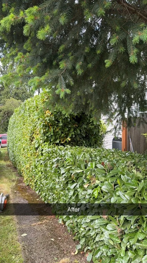 Affordable landscape design experts serving Stevenson, WA - Lyons Lawn Care