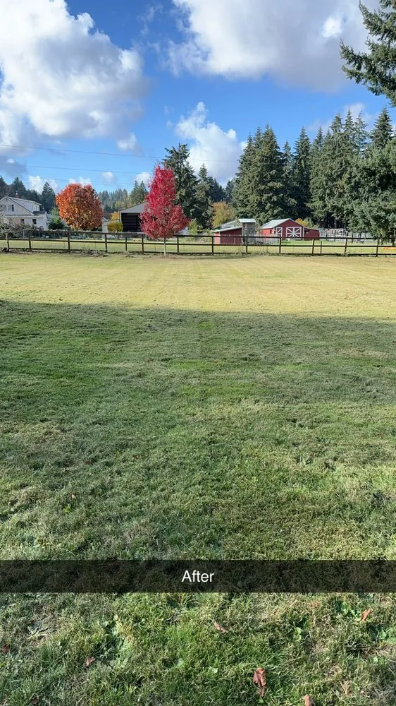 Affordable yard cleanup service near you in Stevenson, WA by Lyons Lawn Care