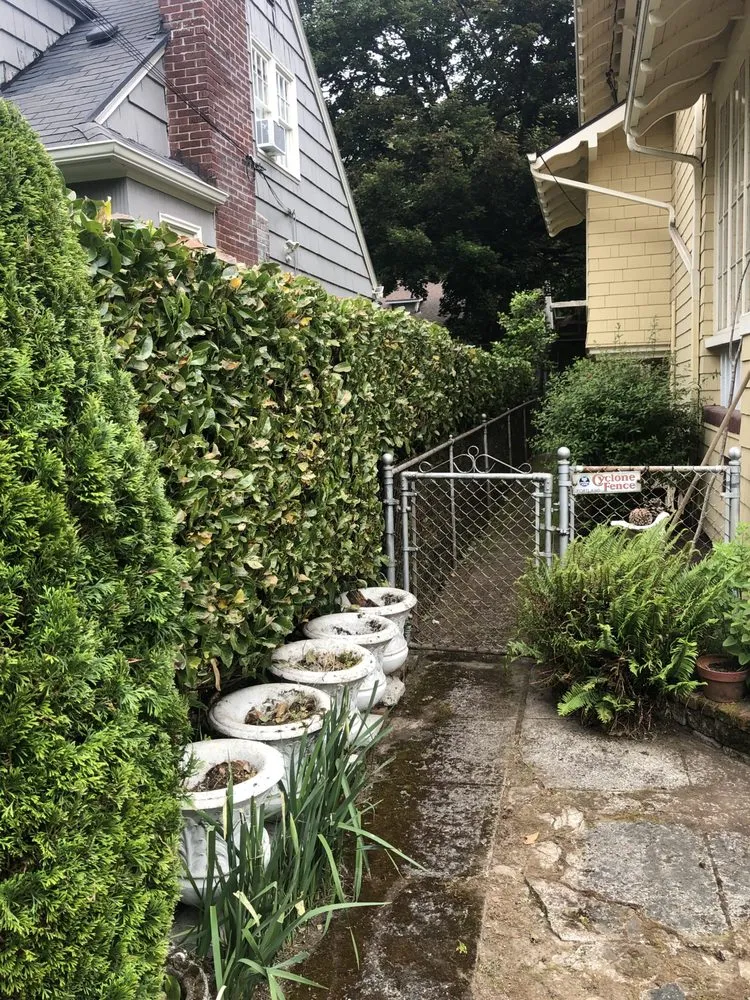 Top-rated yard cleanup service in Stevenson, WA - Lyons Lawn Care