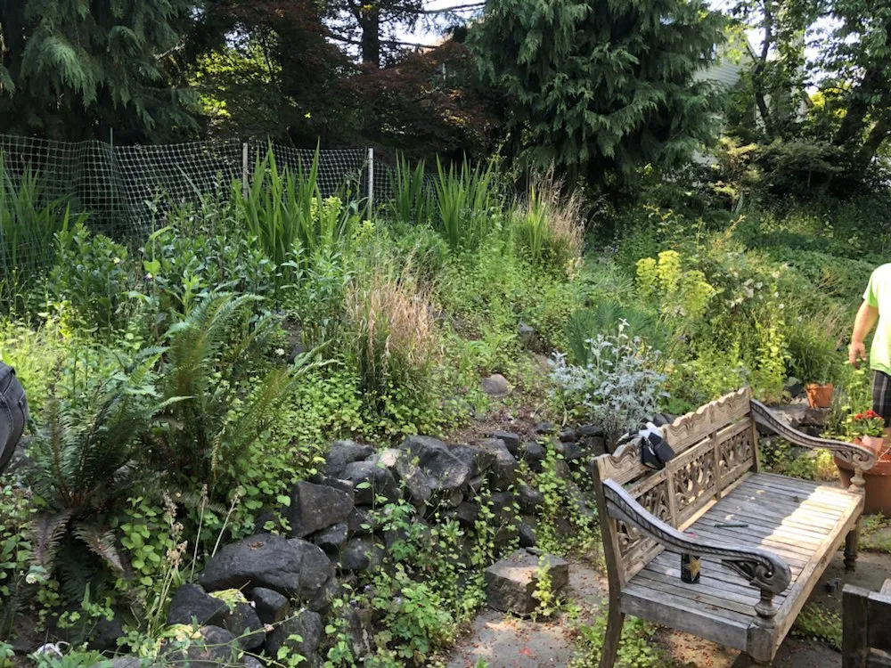 Professional outdoor landscaping experts serving Stevenson, WA - Lyons Lawn Care