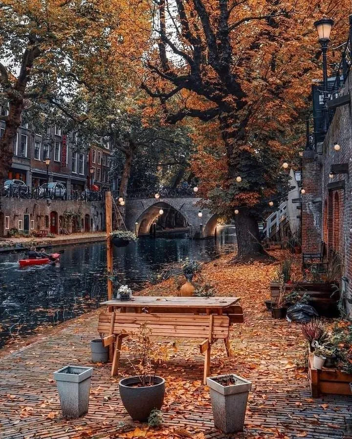 Top-rated landscaping services for beautiful yards in Lock Haven, PA by Lyons Pressure Wash