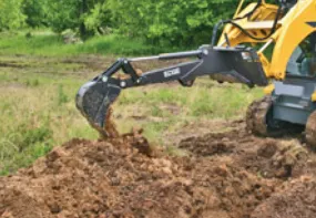 Trusted yard cleanup service experts serving Butler, PA - Lyons Stump Grinding