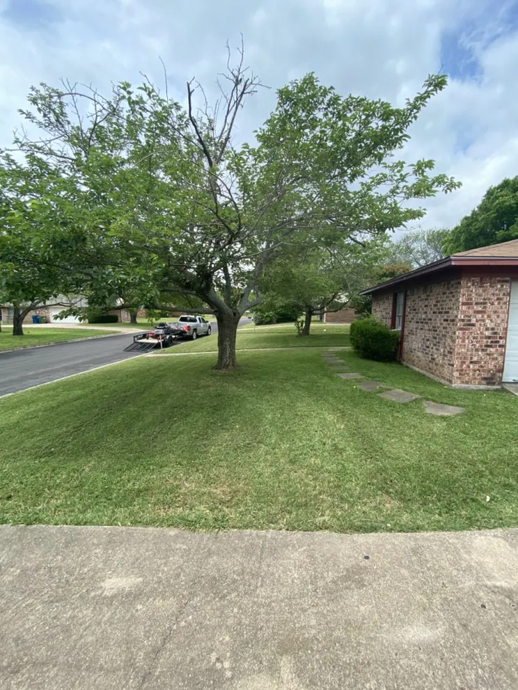 Top-rated garden landscaping in Waco, TX - Lyons Yard Services