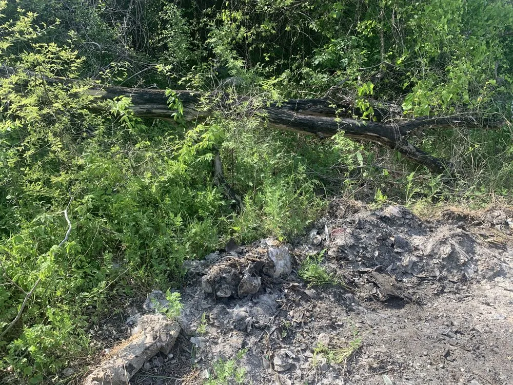 Local landscape installation in Waco, TX - Lyons Yard Services