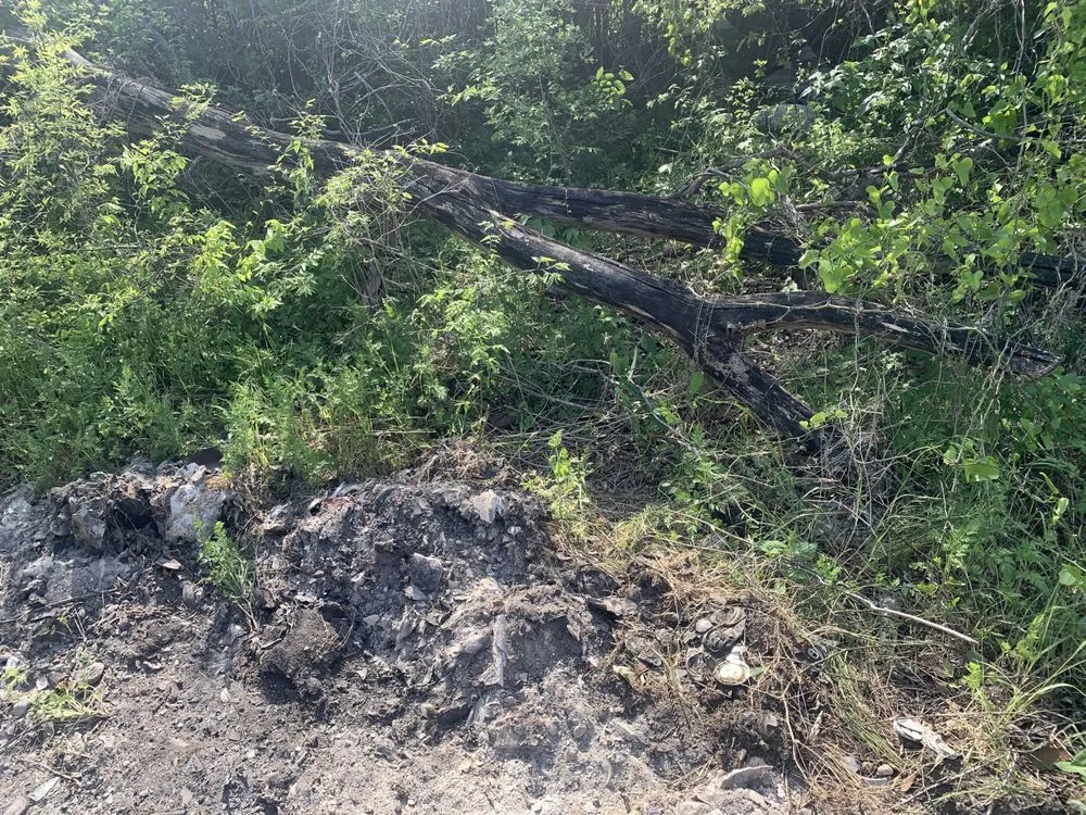 Professional lawn care service with custom design in Waco, TX by Lyons Yard Services