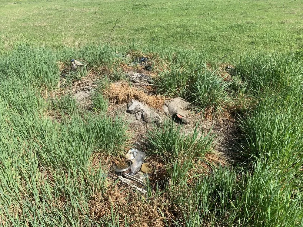 Expert garden landscaping experts serving Waco, TX - Lyons Yard Services