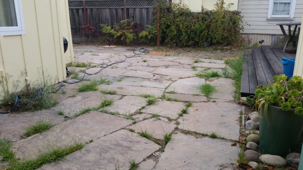 Custom lawn care service in Santa Cruz, CA by Lyonscape