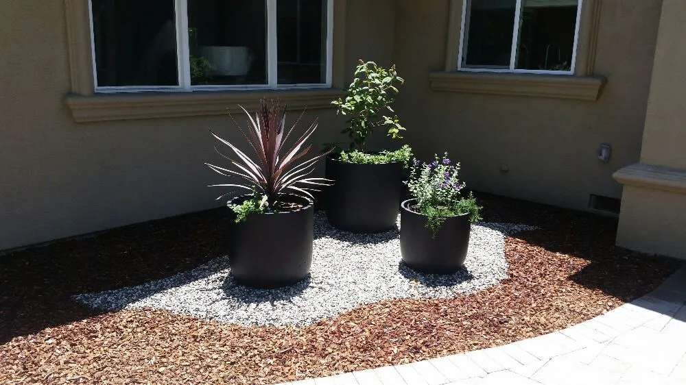 Affordable residential landscaping with custom design across Santa Cruz, CA - Lyonscape